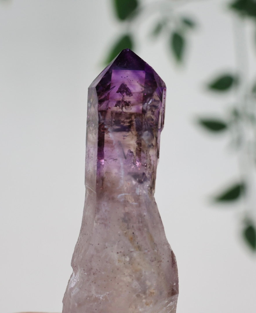 Shangaan Amethyst x Rauchquarz Zepter Nr.23SA