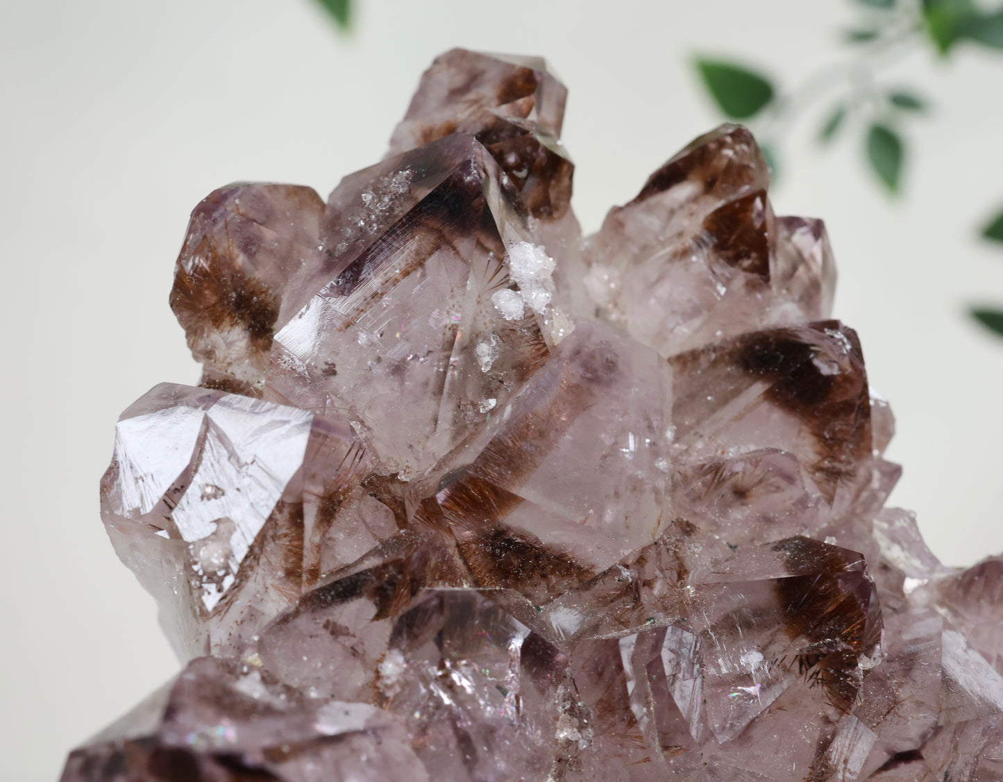 Amethyst x Goethit Nr.174AG
