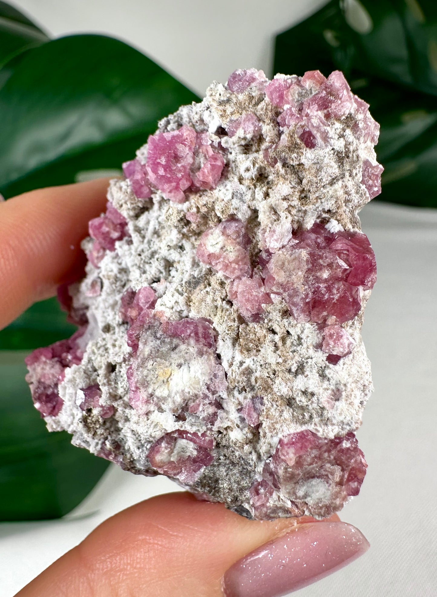 Pinker Granat Nr.37PR