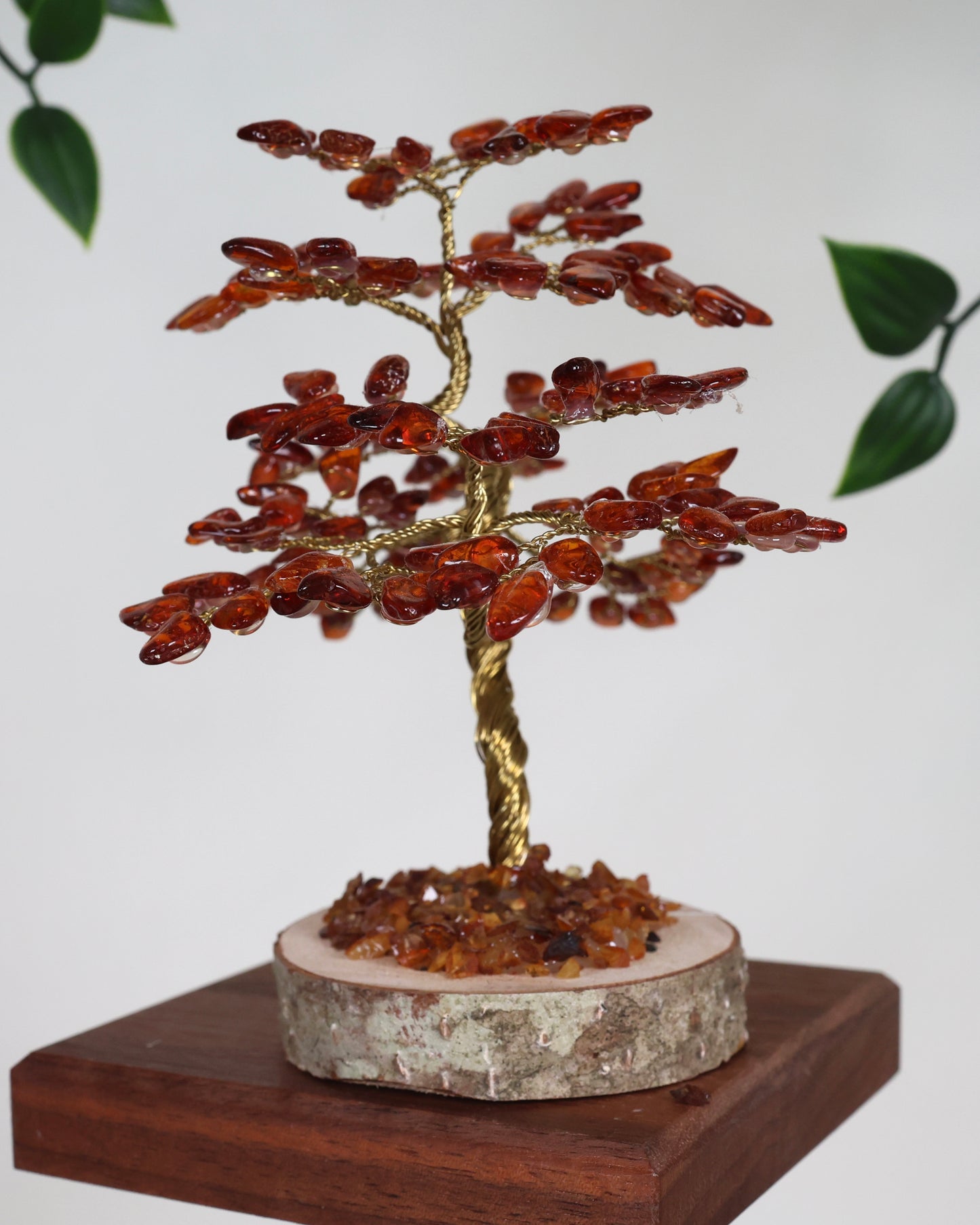 Bernstein Baum Nr.53B1