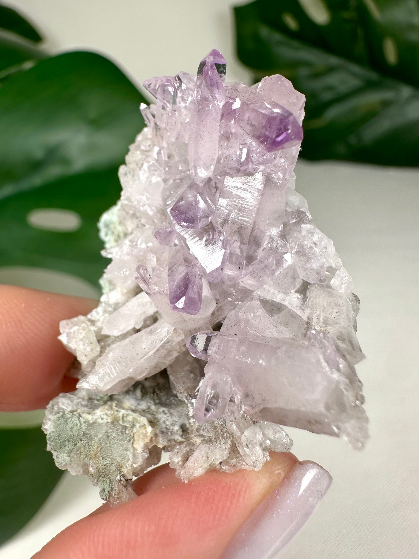 Vera Cruz Amethyst Nr.50VC