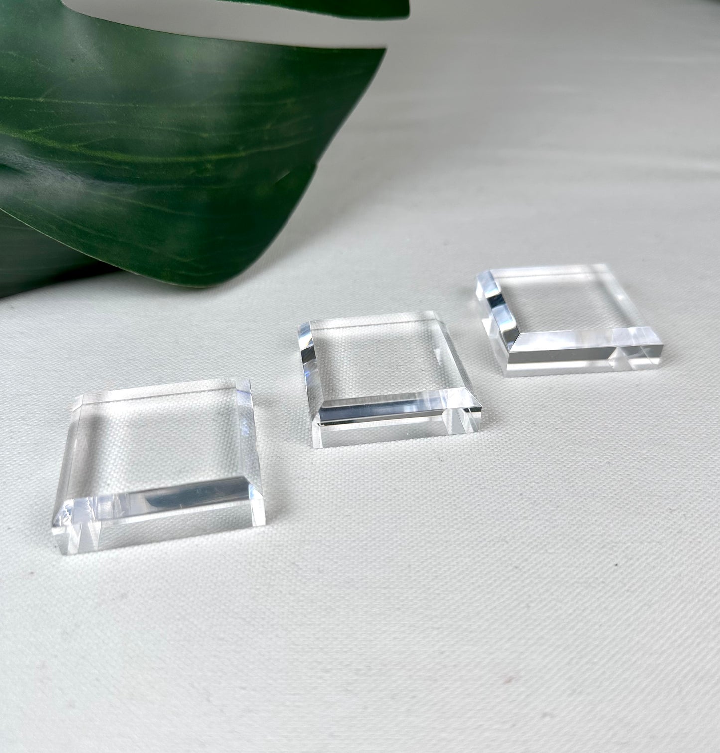 Acryl Platte für Specimens M