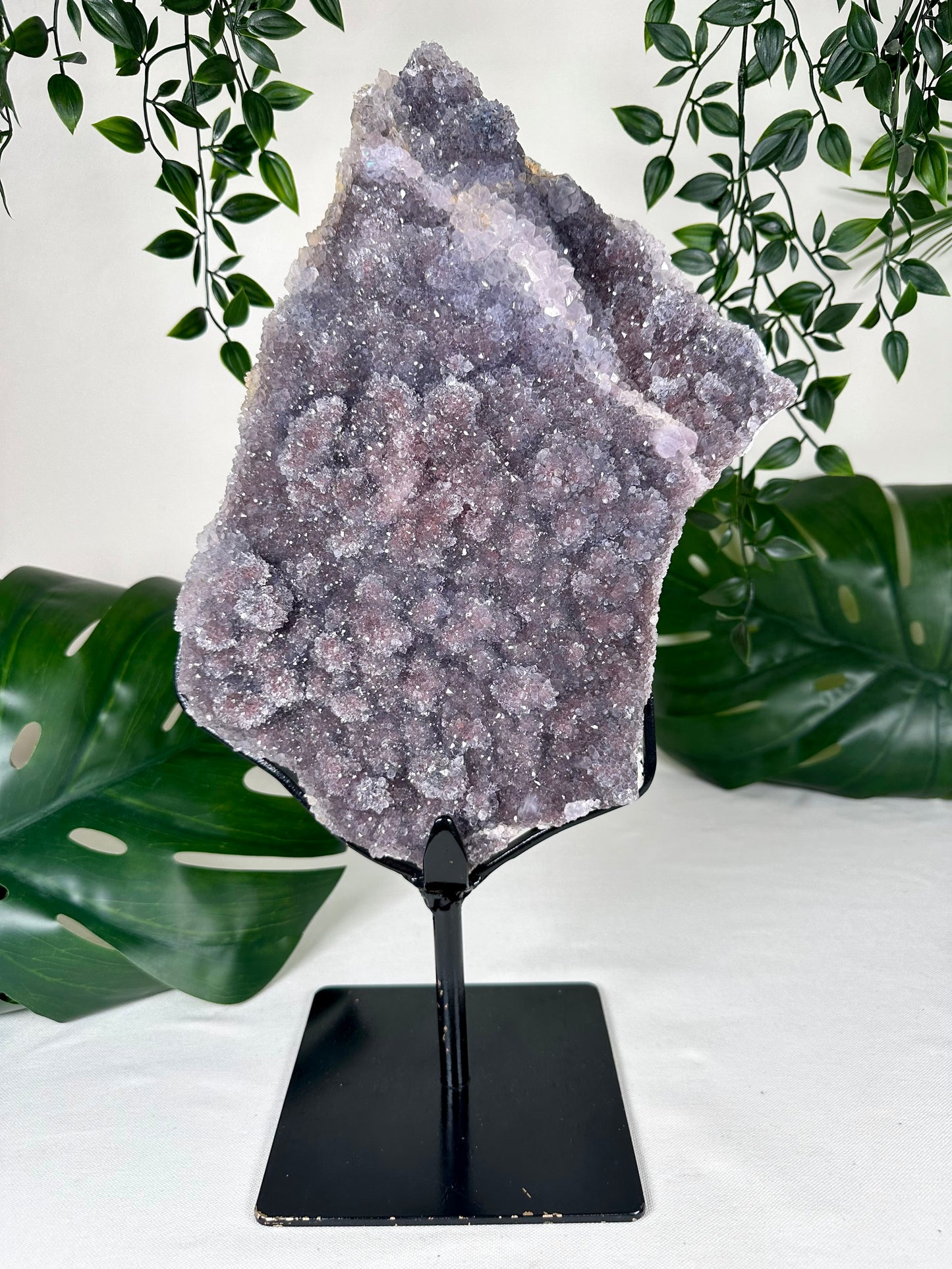 Amethyst XXL Nr.440AC