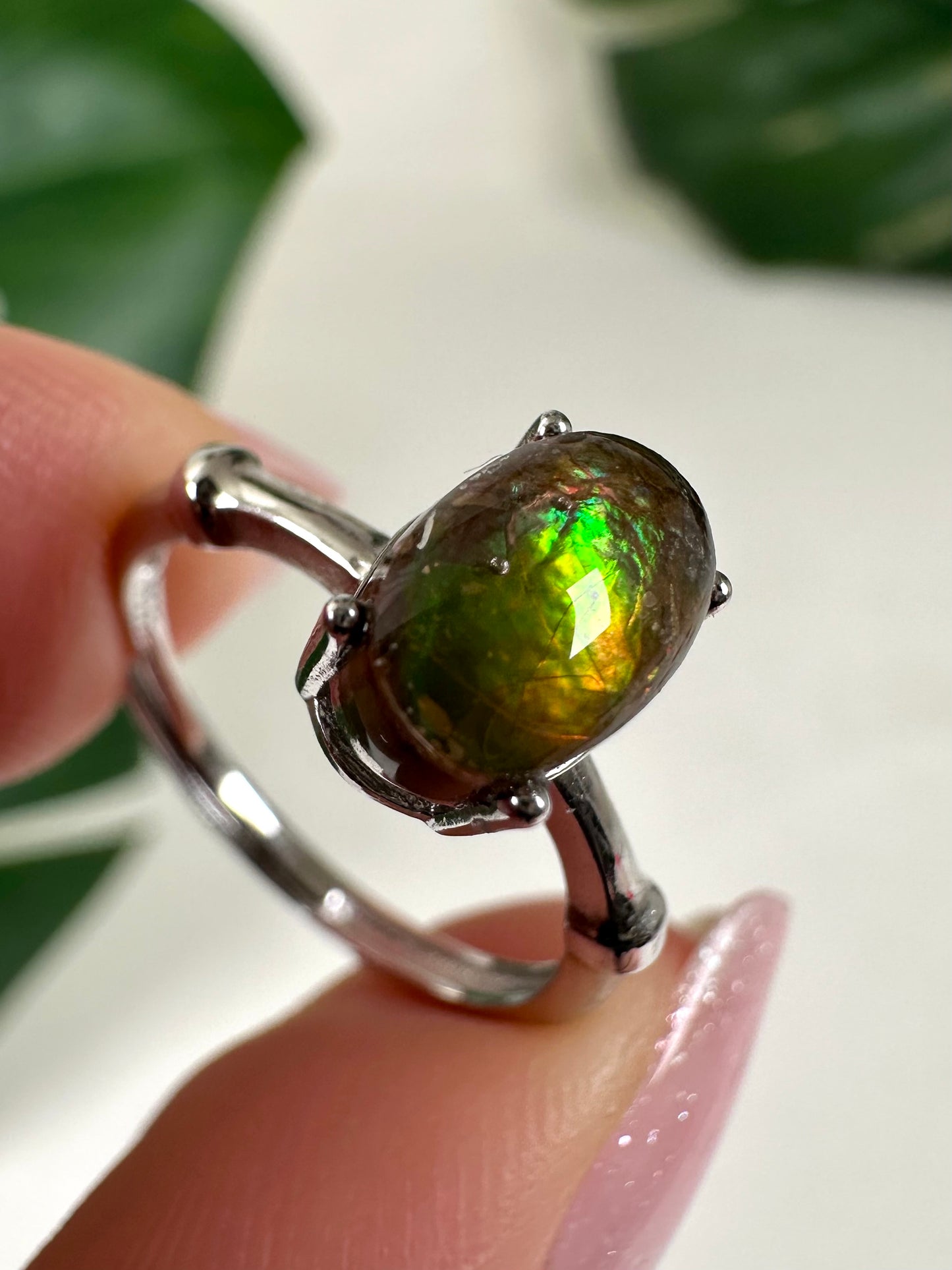 Ammolit Ring in 925 Silber Nr.49A4