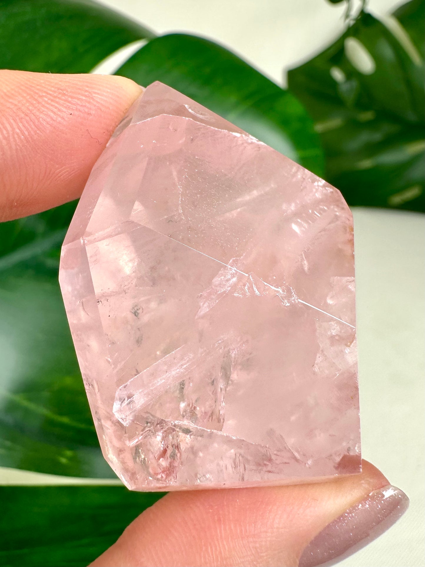 Rose Quartz No. 25R5
