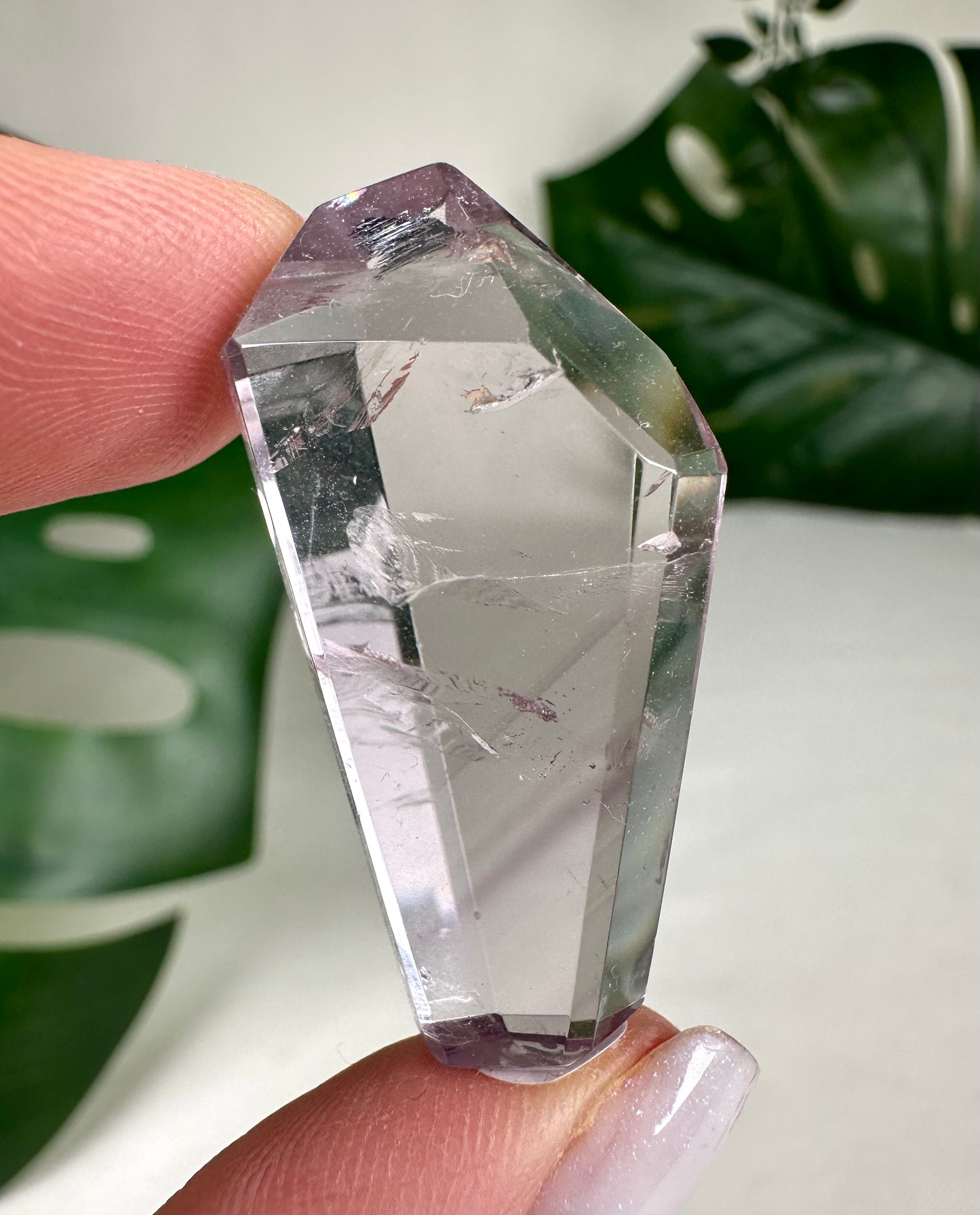 Rose de France Amethyst - Selection