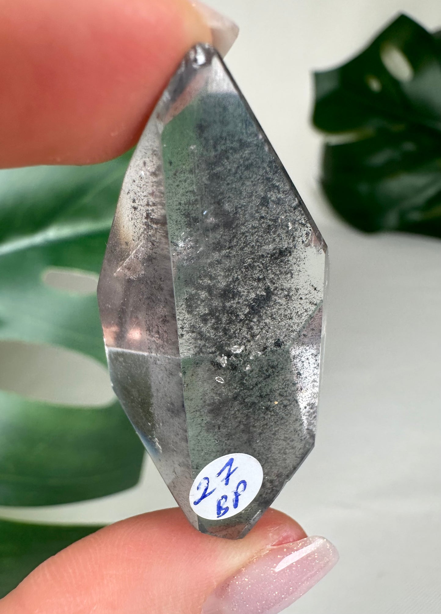 Black Phantom Lemurian Nr.27BP B-Ware