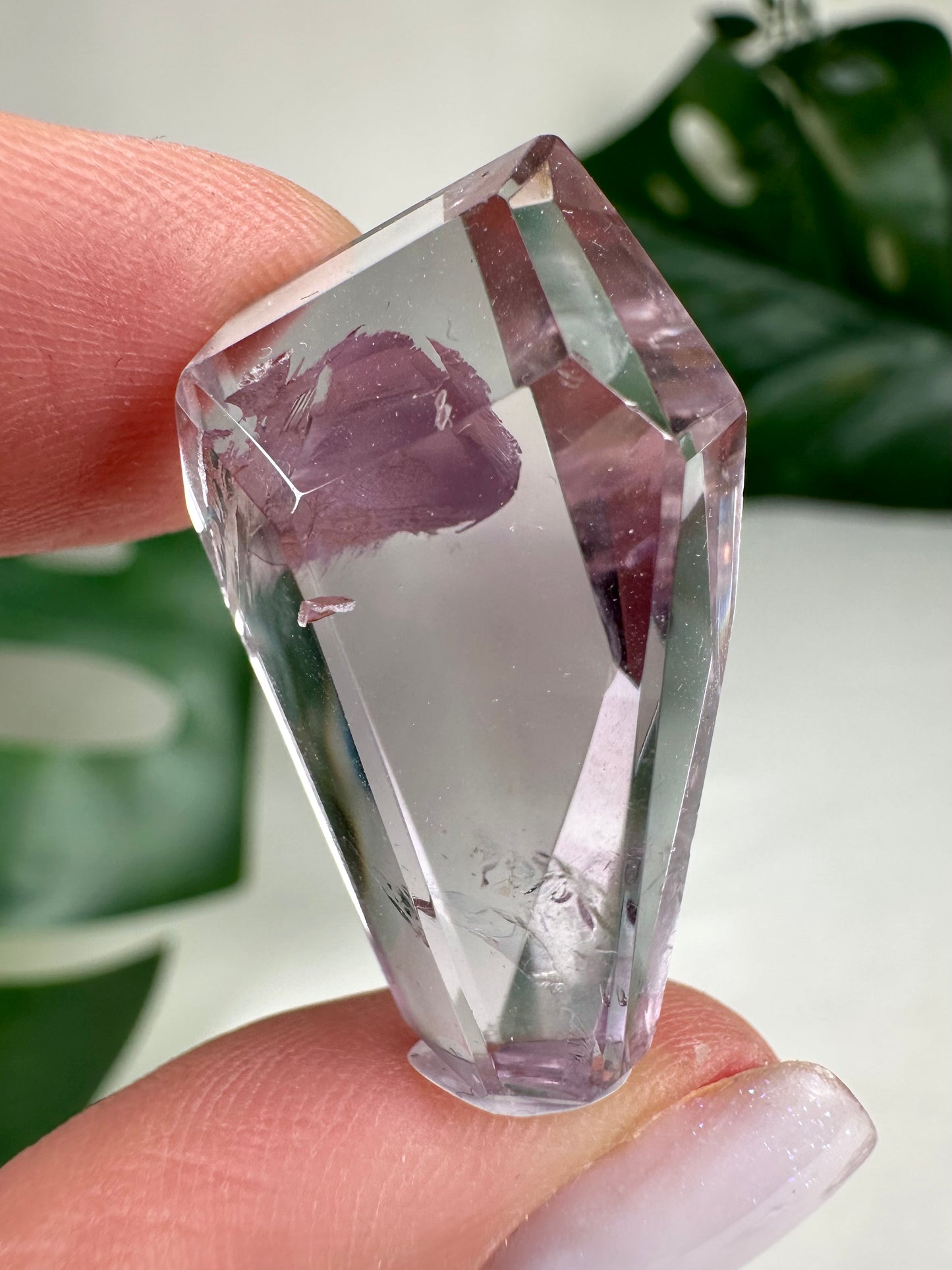 Rose de France Amethyst - Selection