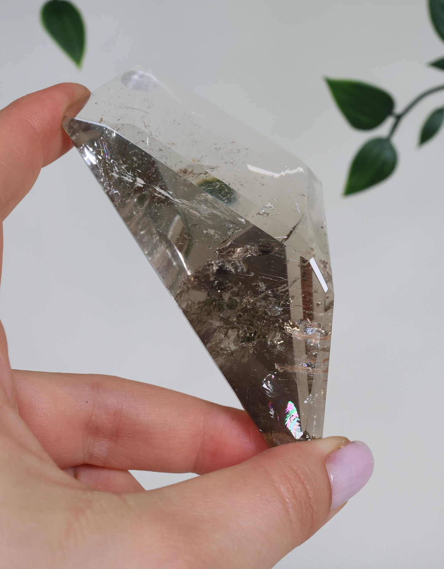 Rauchquarz Semi-Polished Nr.50RS
