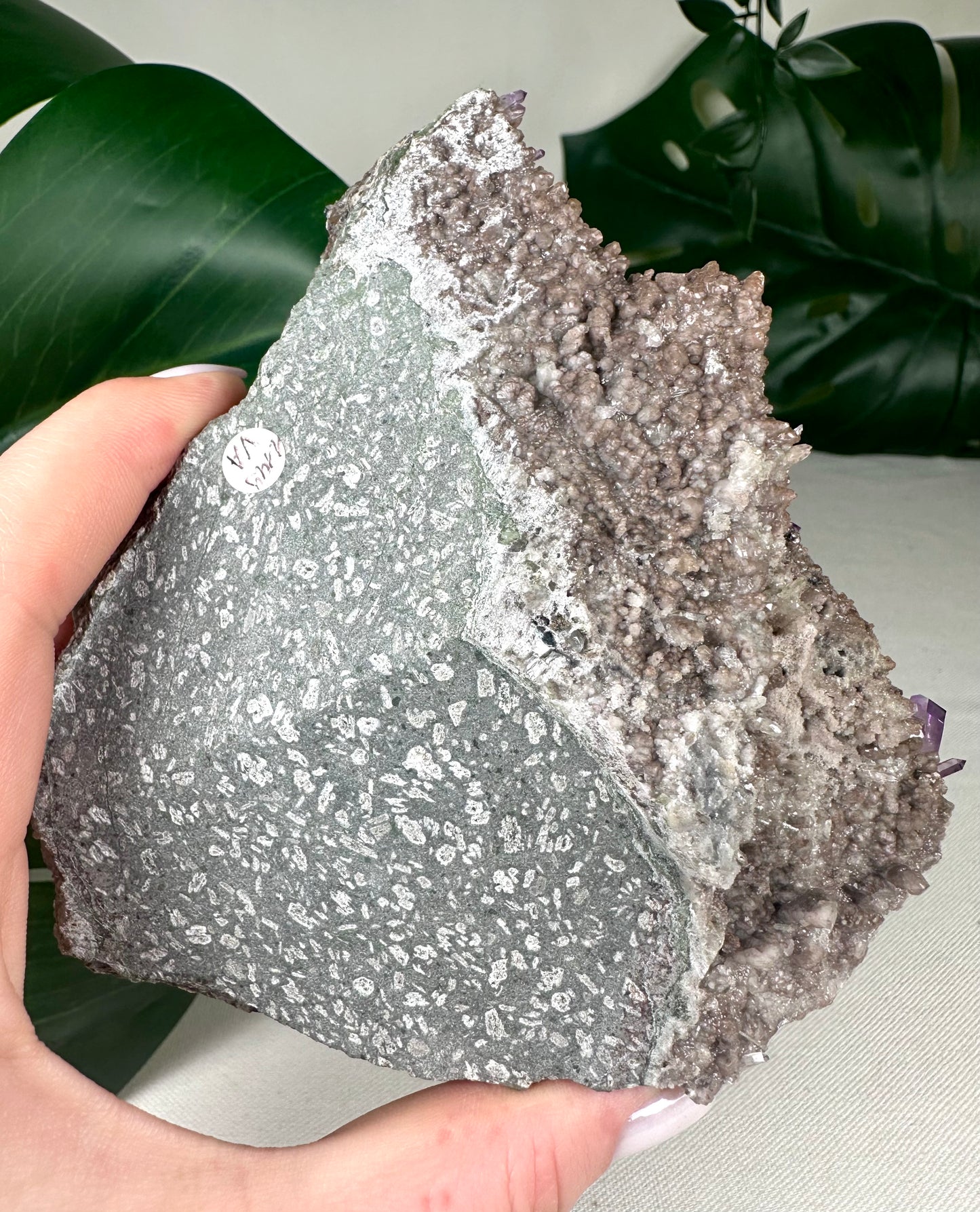 Vera Cruz Amethyst XL Nr.1149VA