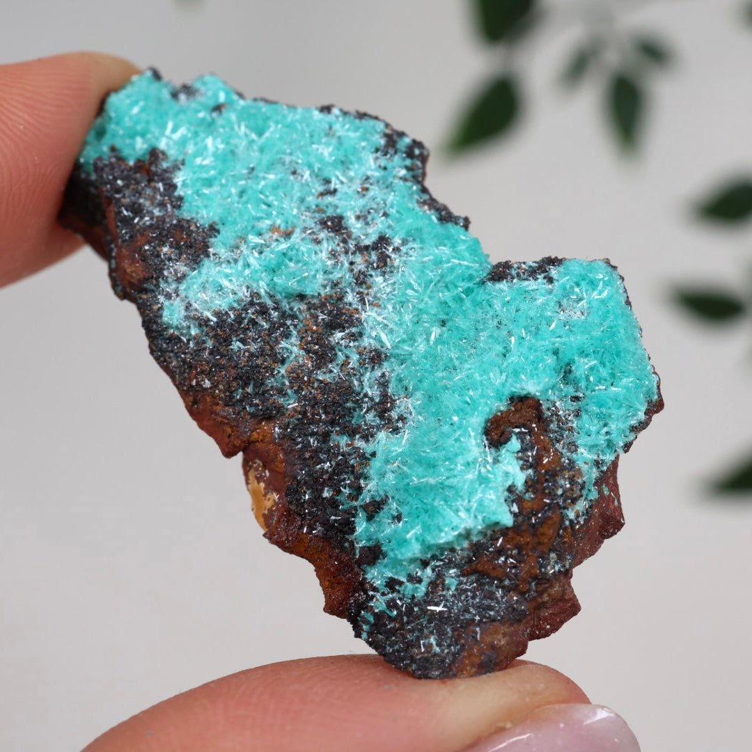 Aurichalcite Nr.31AU