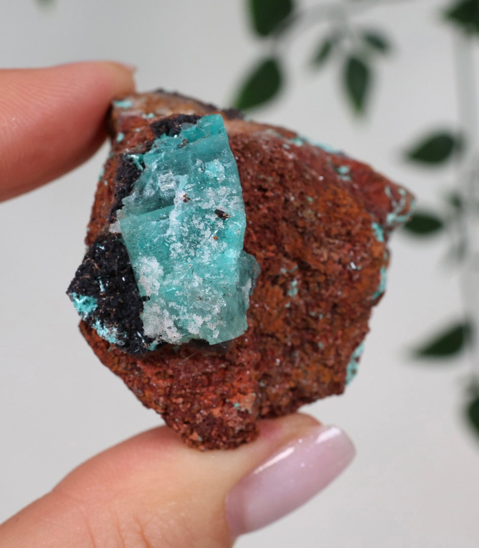 Aurichalcite Nr.35AU