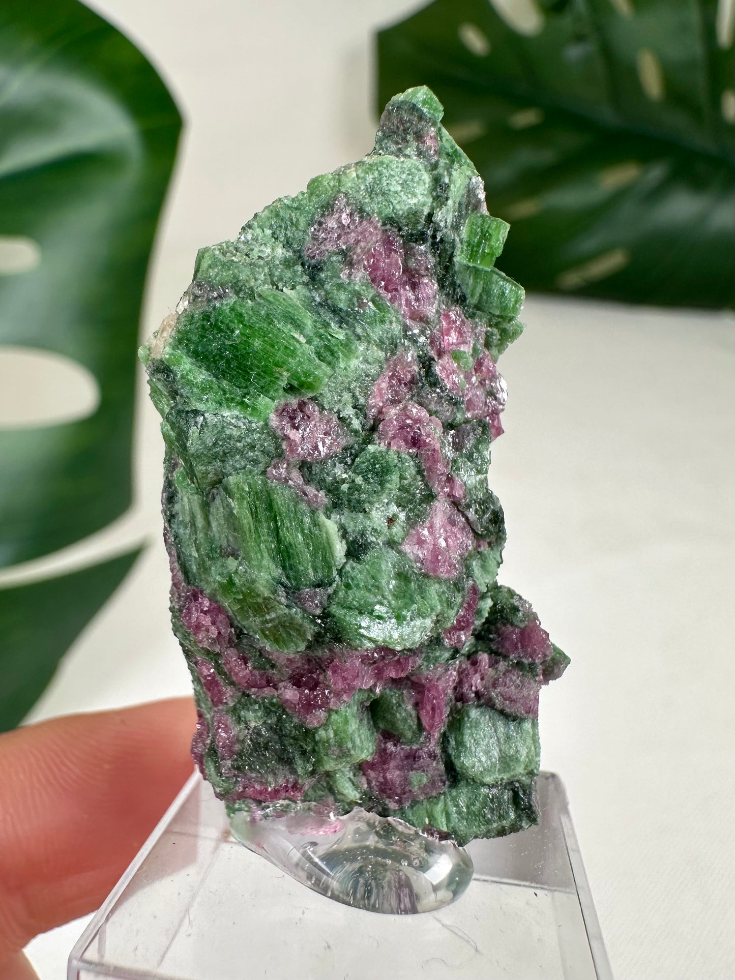 Pyrop Granat x Chromdiopsid Nr.59PC