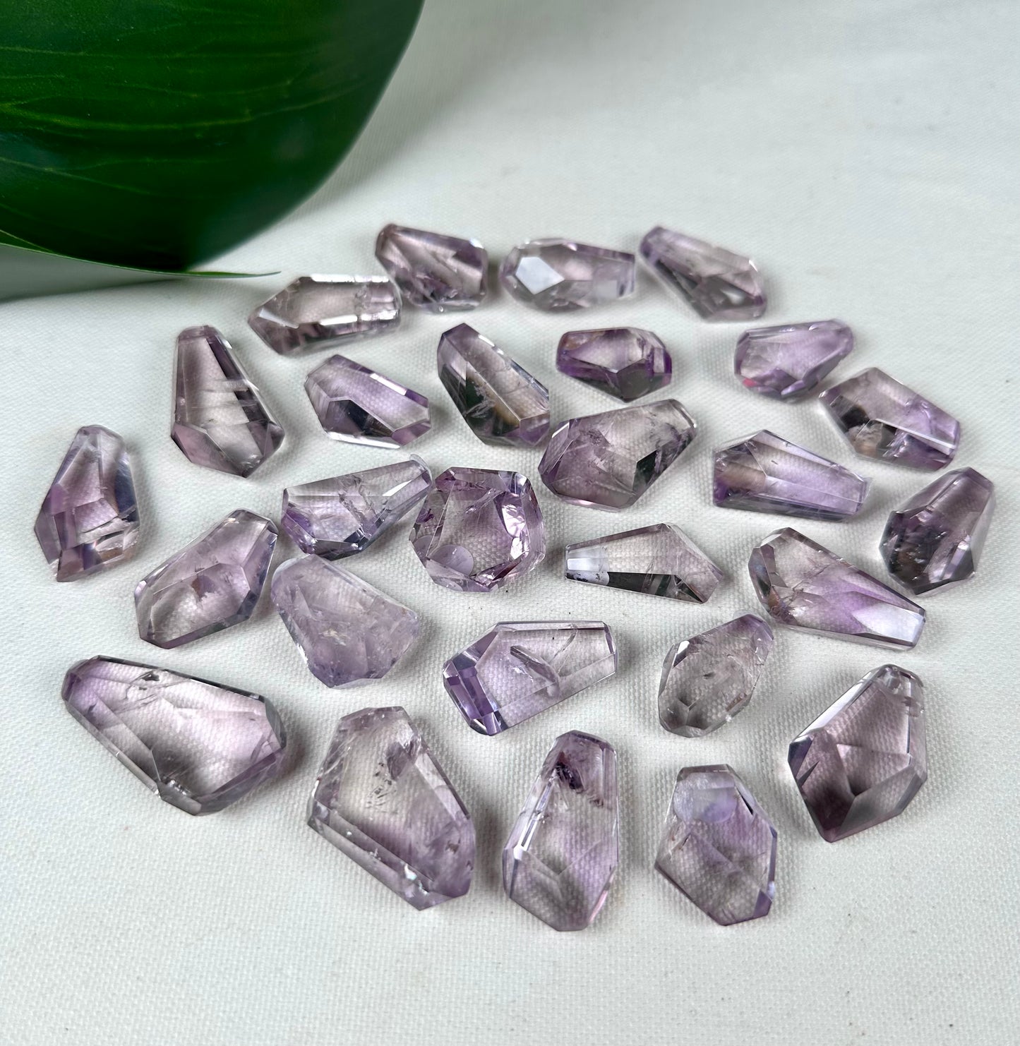 Rose de France Amethyst - Selection