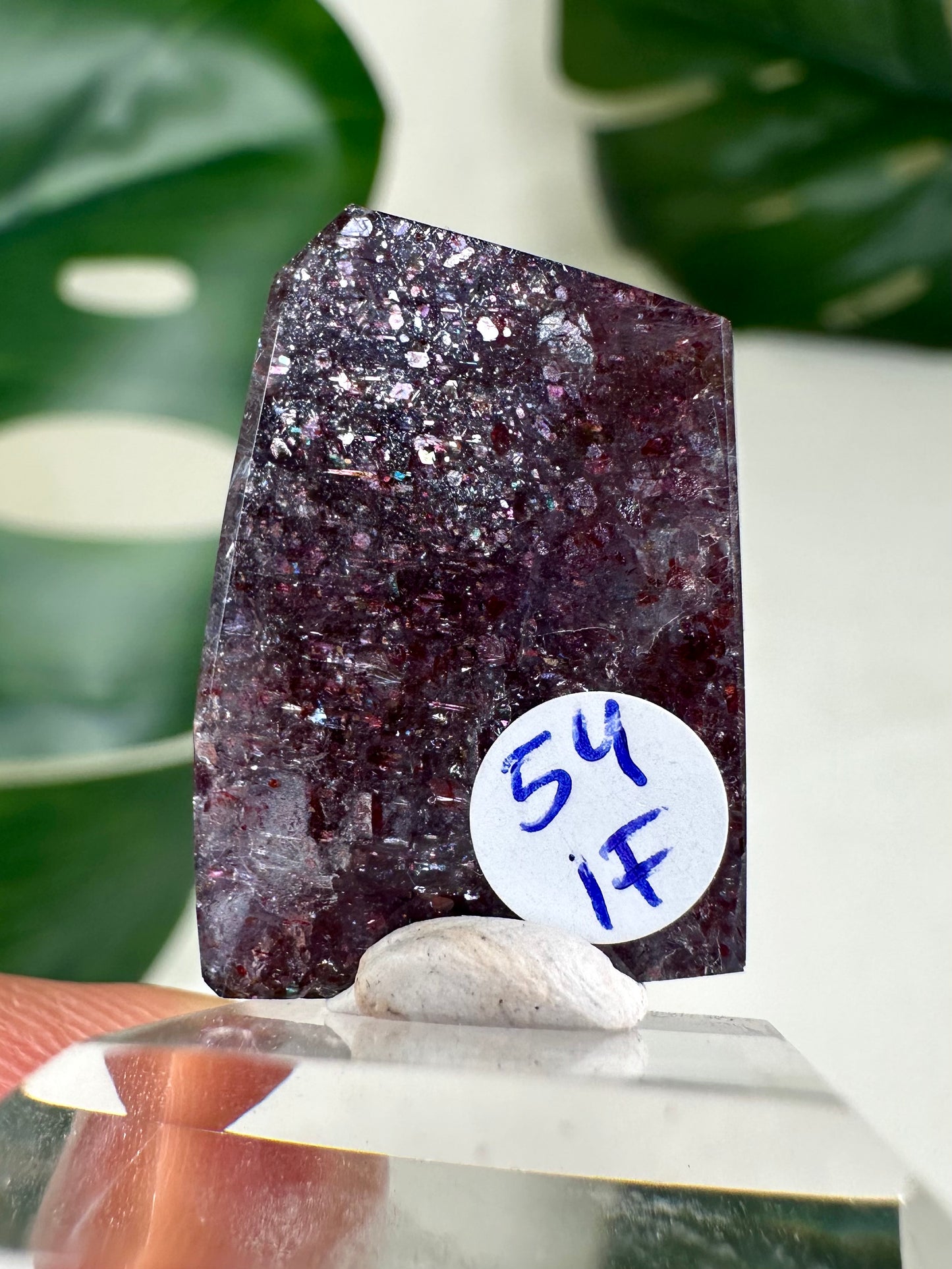 Iolita con piedra solar n.º 54IF