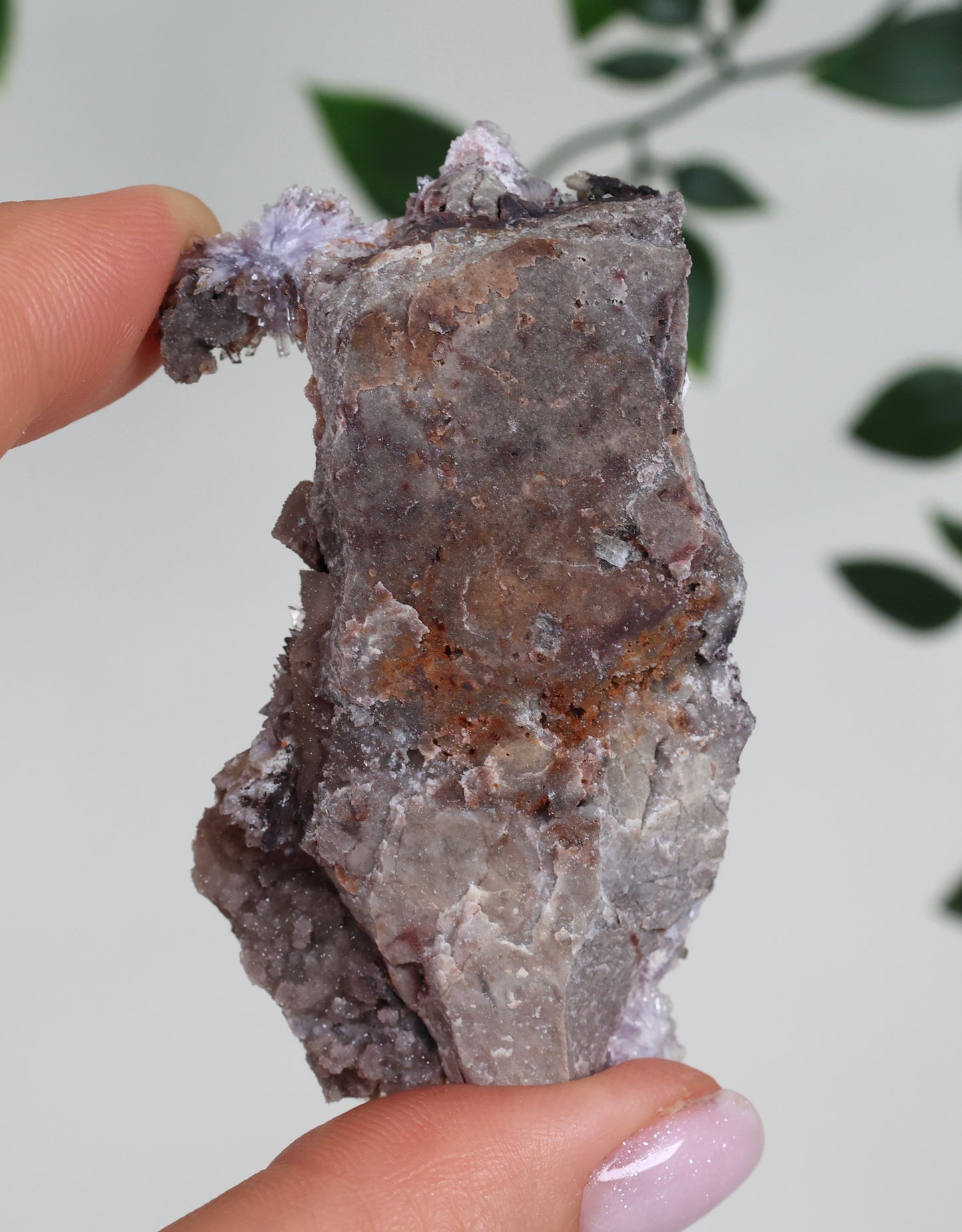 Lilaner Creedite Nr.104LC