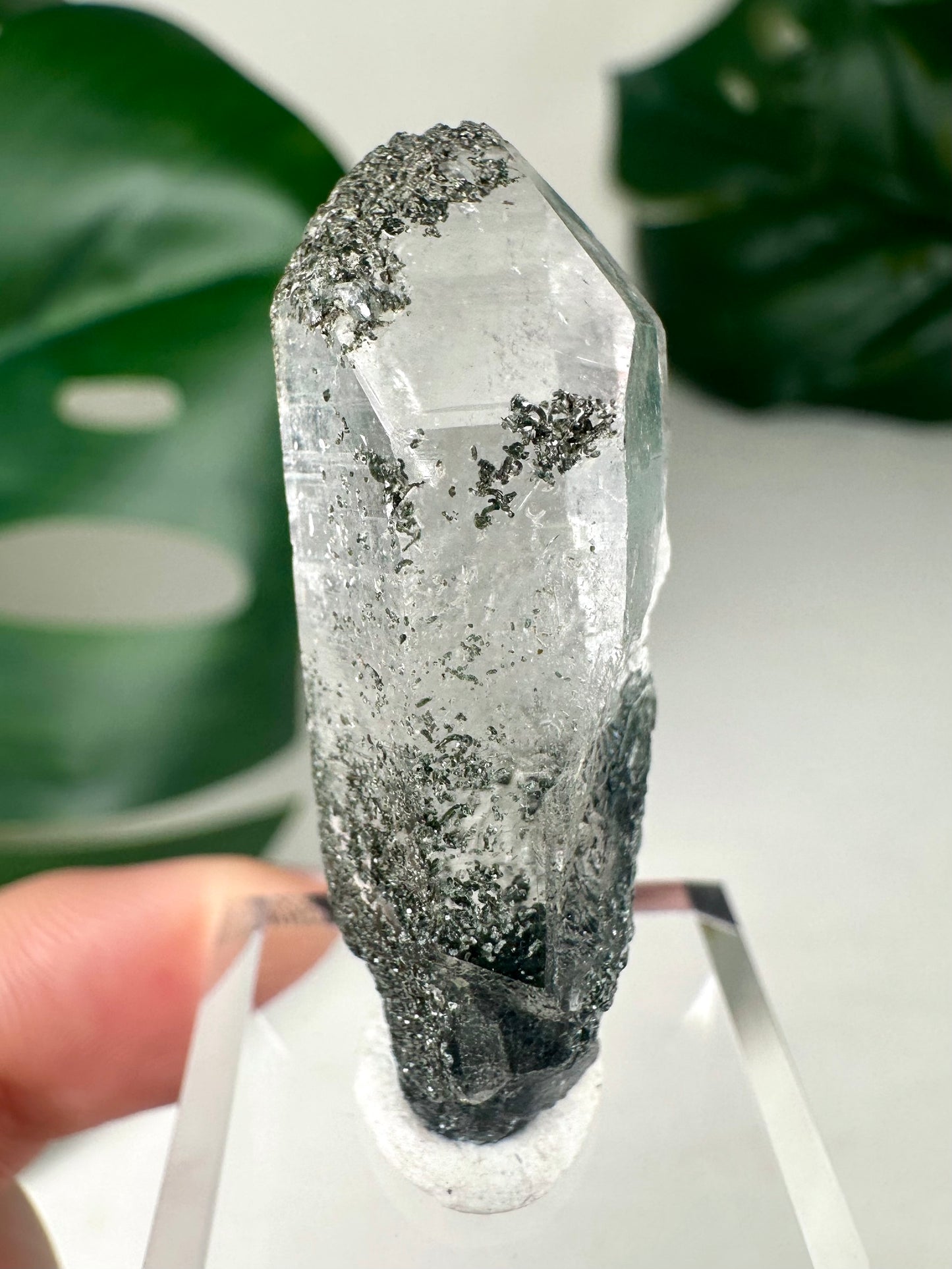 Himalaya Quarz mit Chlorit Nr.30HS