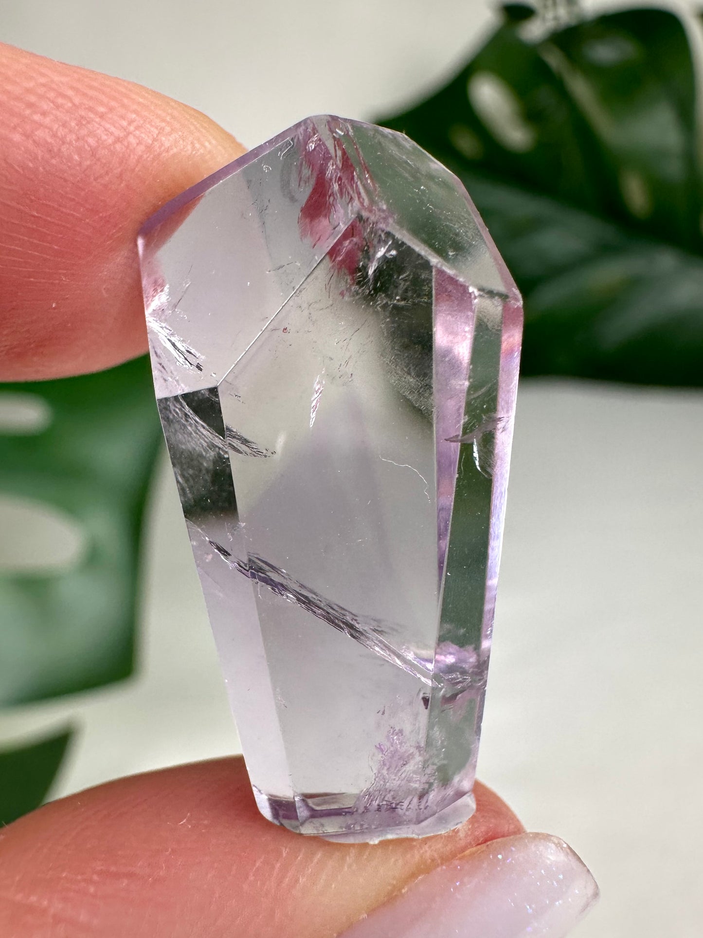 Rose de France Amethyst - Selection