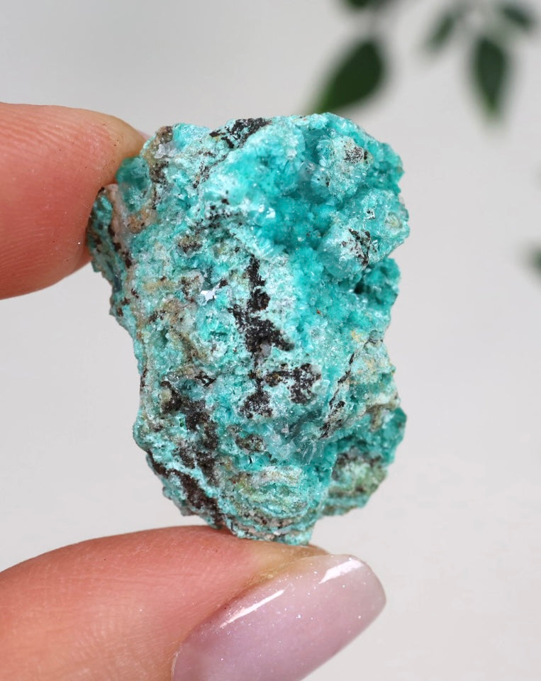 Aurichalcite - Auswahl