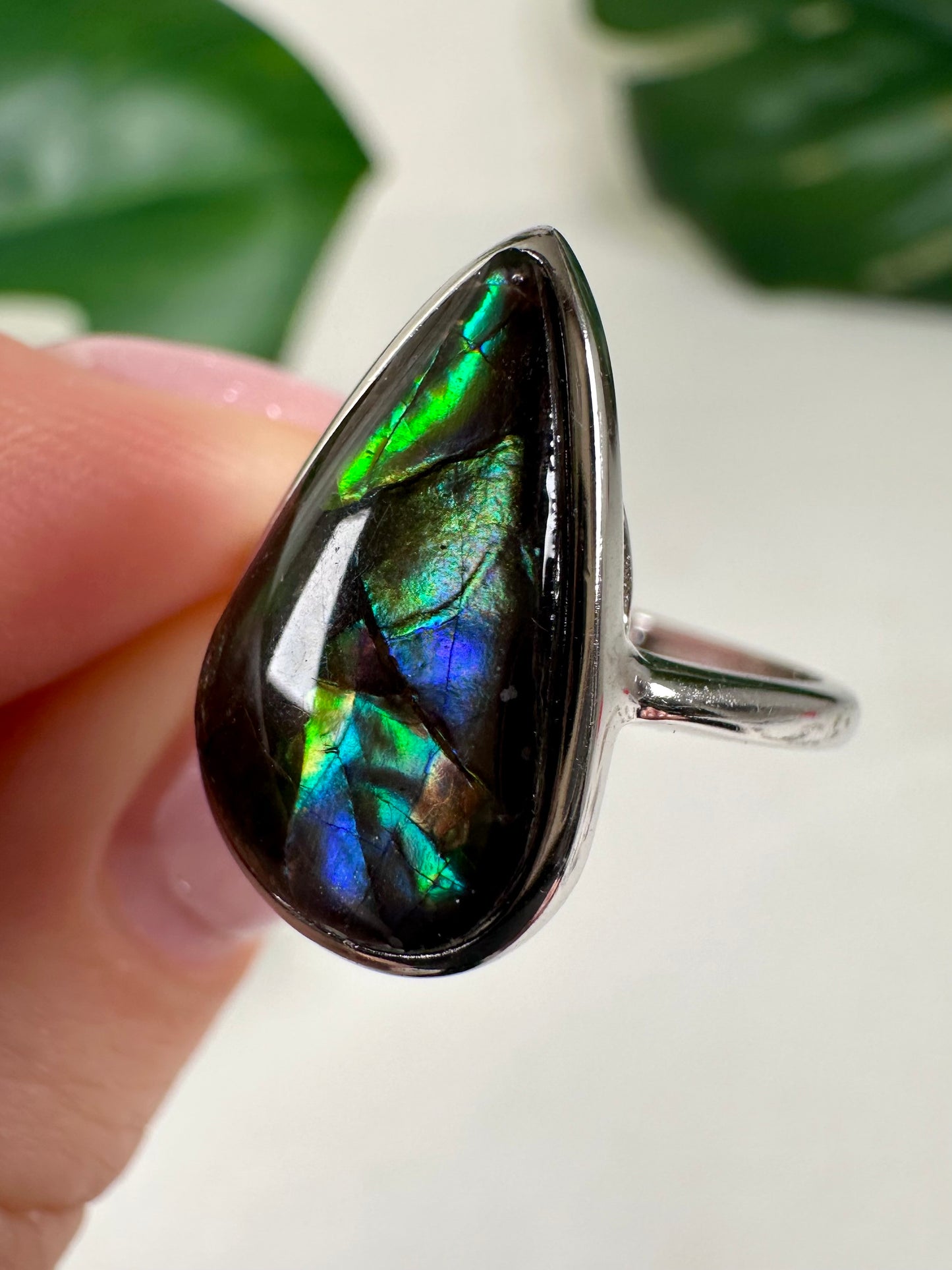 Ammolite ring in 925 silver No.110A1