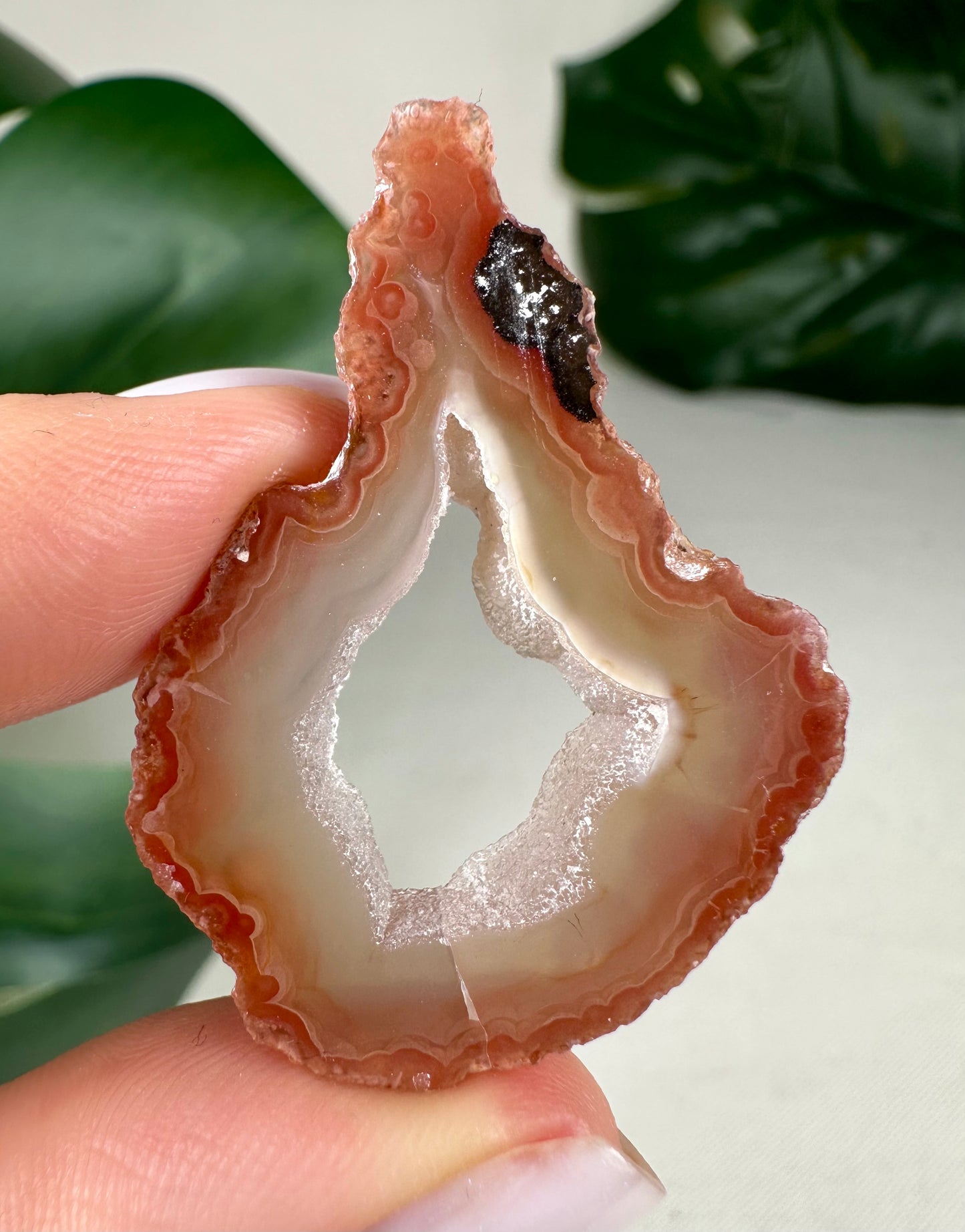 Coyamito Agate Slice - Red - Selection