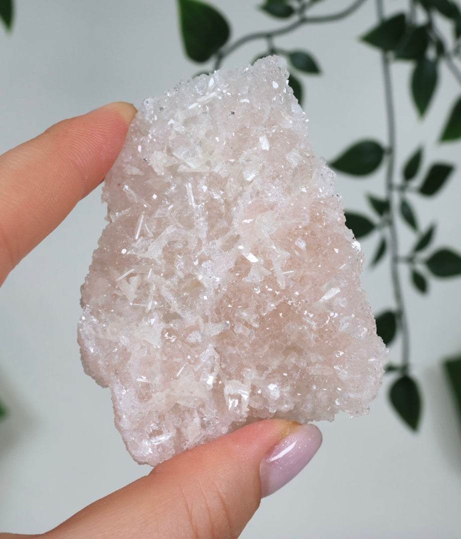 Pink Apophyllit Crust HQ Nr.60PA