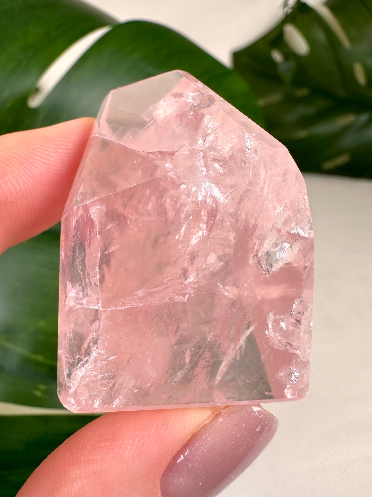 Rose Quartz No. 25R4