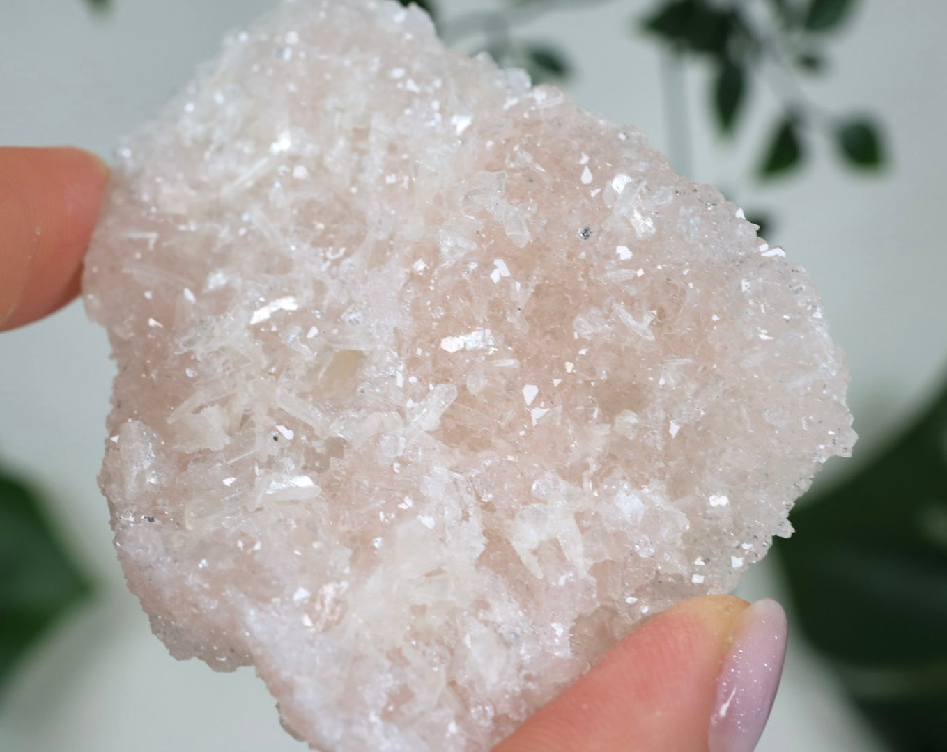 Pink Apophyllit Crust HQ Nr.60PA