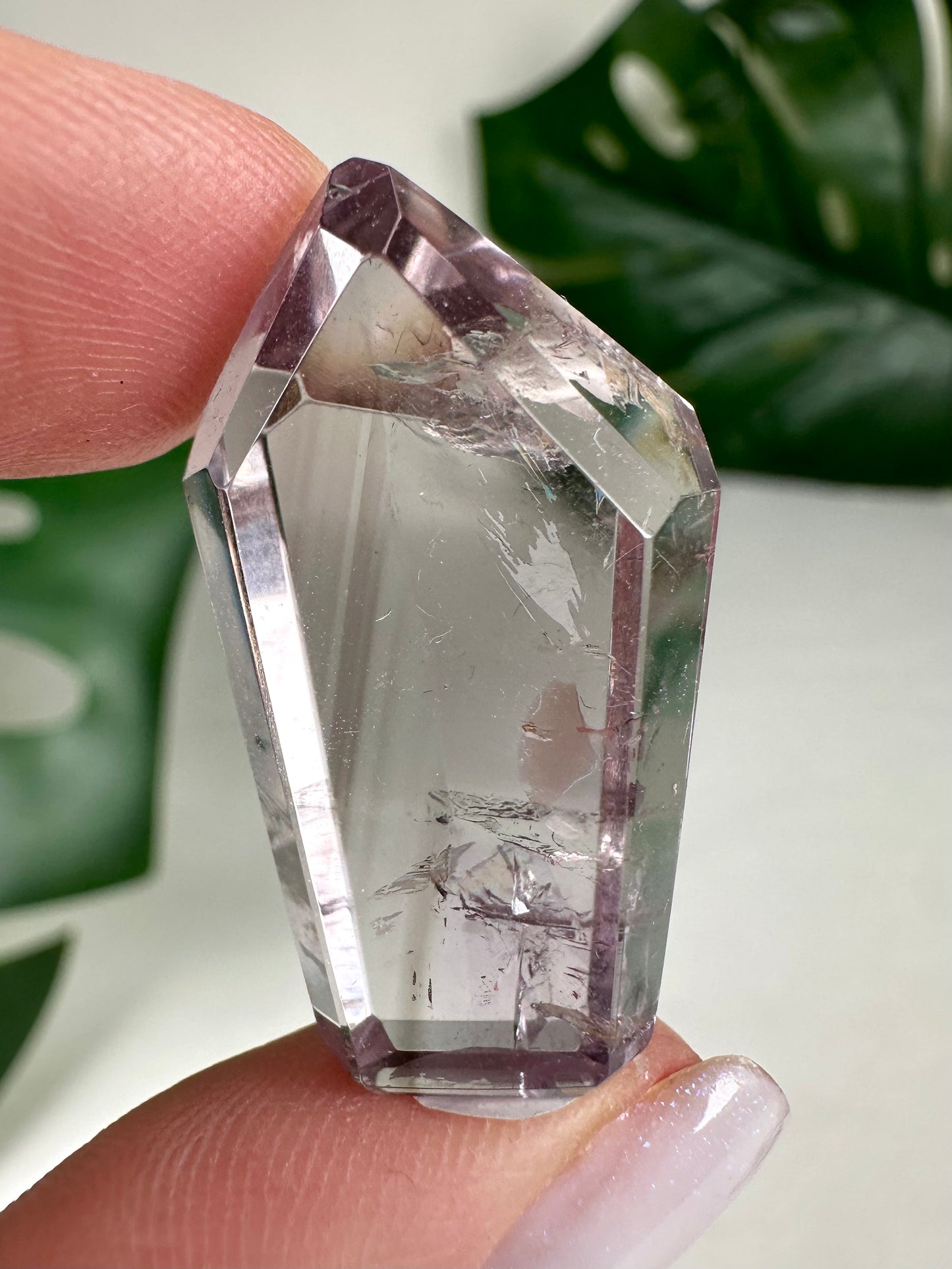Rose de France Amethyst - Selection