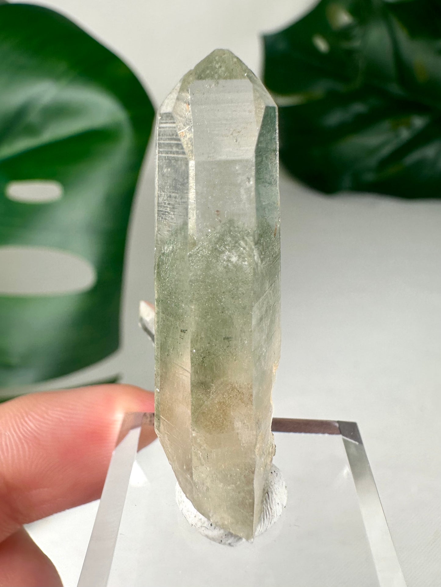 Himalaya Quarz mit Chlorit Nr.21HS