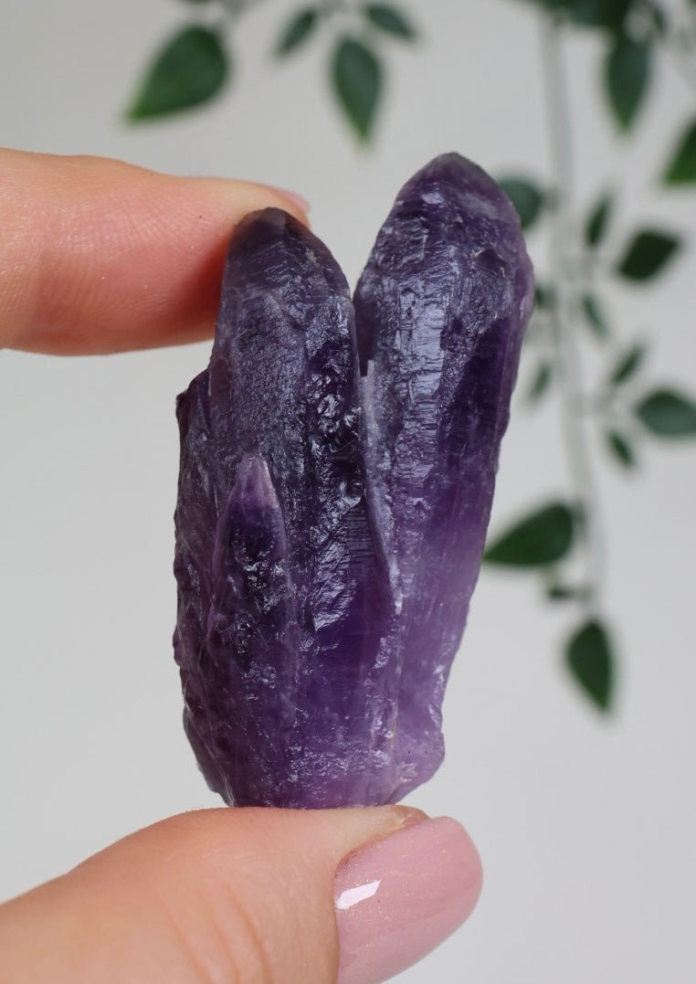 Amethyst - Neufund Nr.42A2