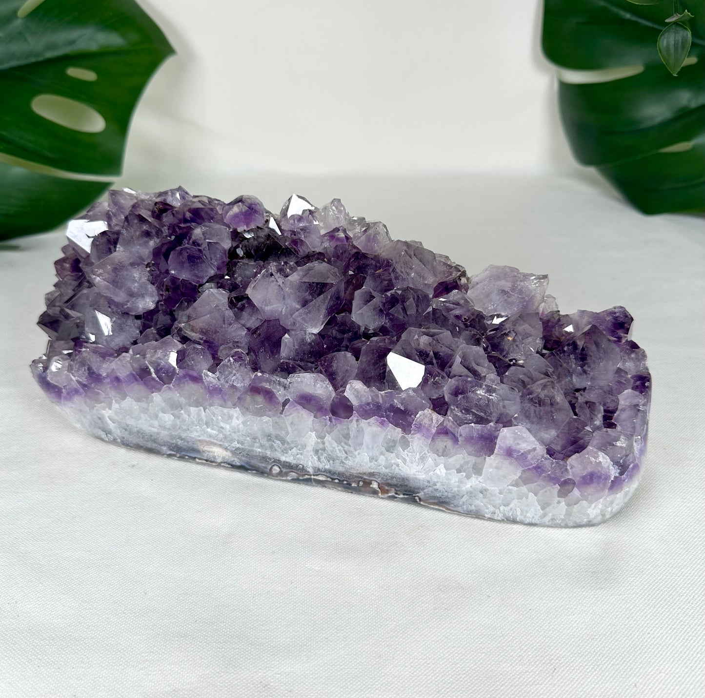 Amethyst Cluster XL Nr.485AC