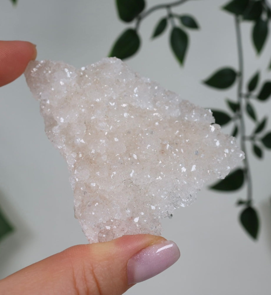 Pink Apophyllit Crust HQ Nr.40AP