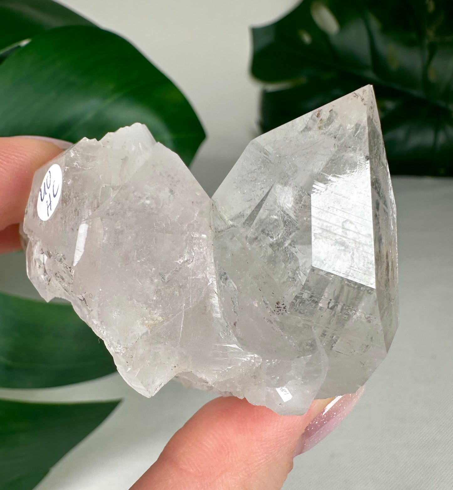 Himalaya Quarz Nr.40HC