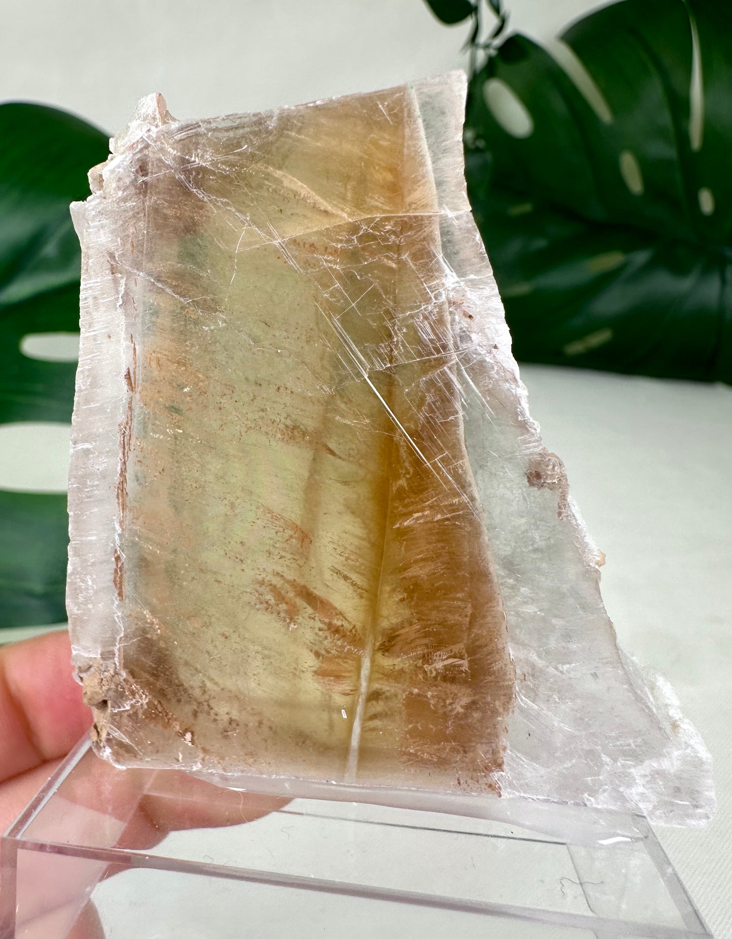 Bicolor Selenite No. 36BS