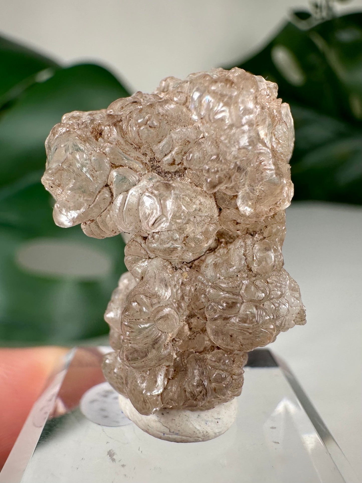 Hyalit Opal Nr.12HO
