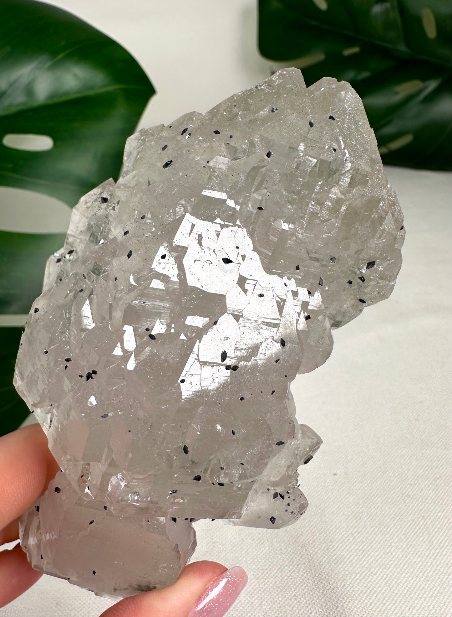 Himalaya Quarz 'Nirvana' mit Anatas Nr.1449HQ