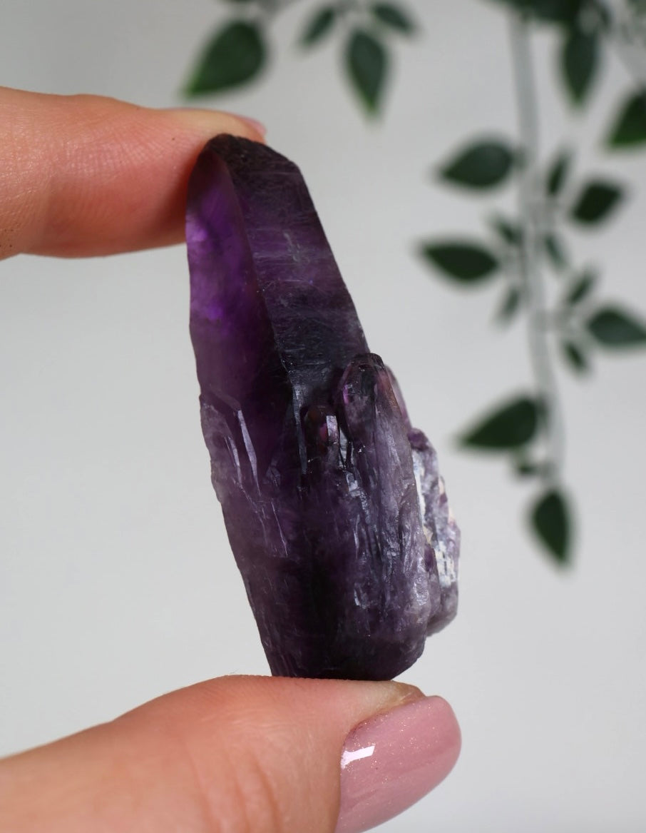 Amethyst - Neufund Nr.42AK