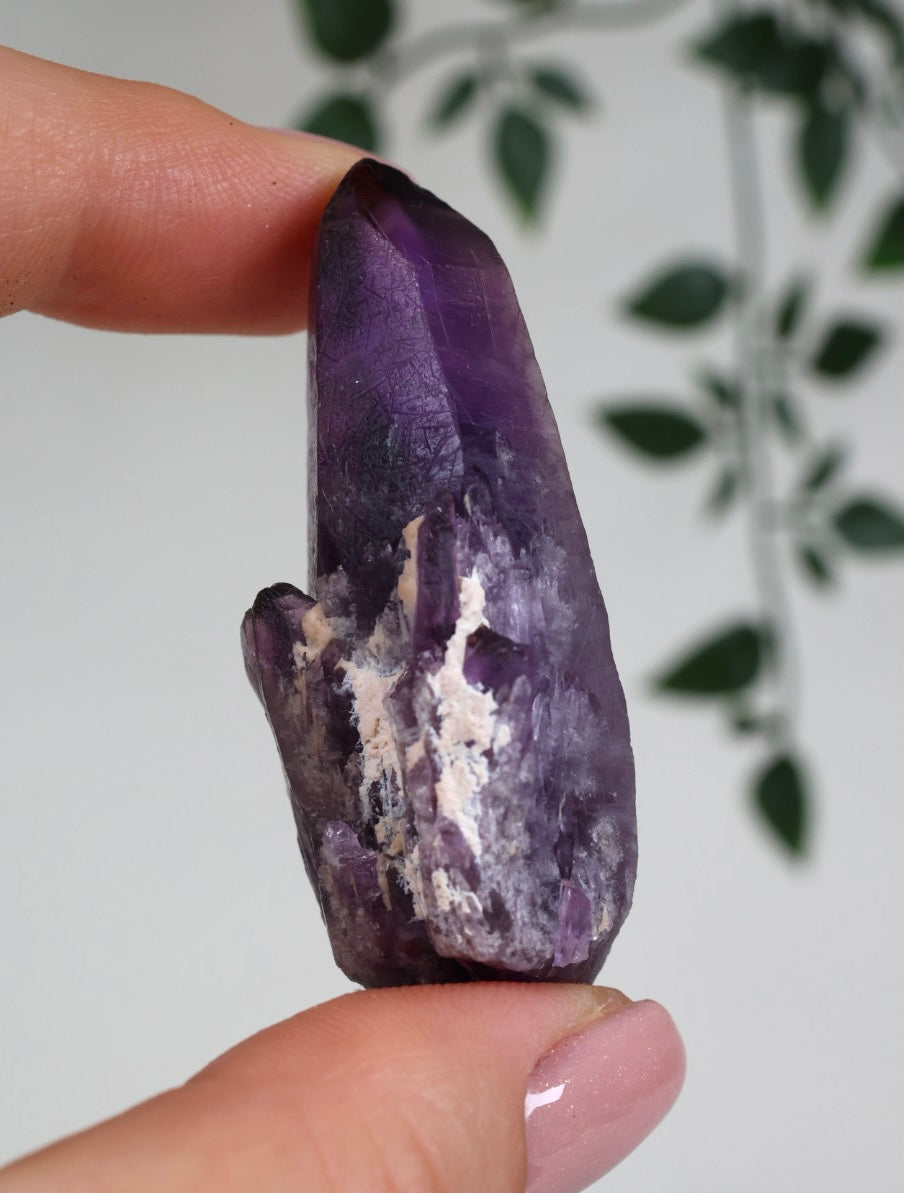Amethyst - Neufund Nr.42AK