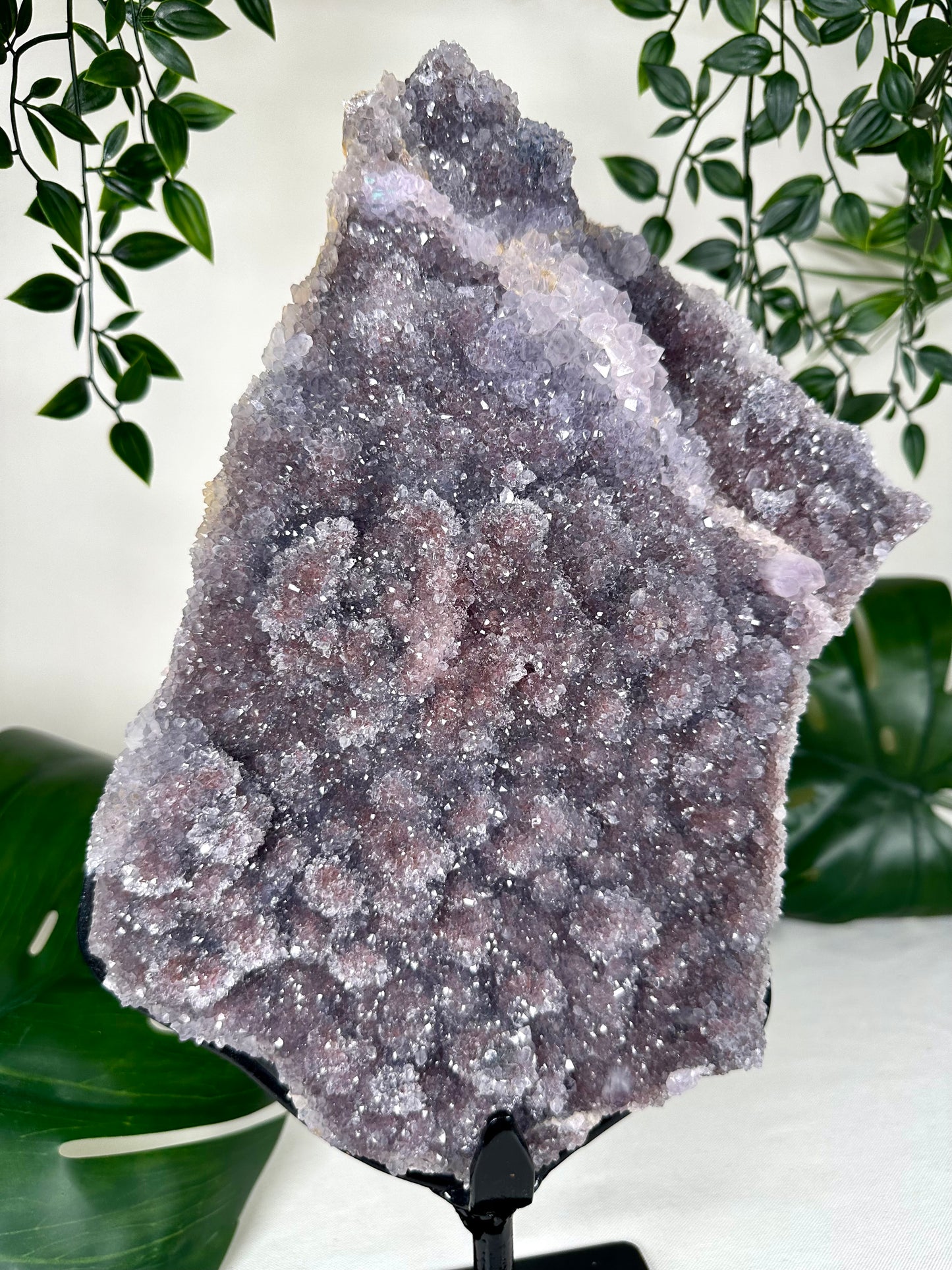Amethyst XXL Nr.440AC