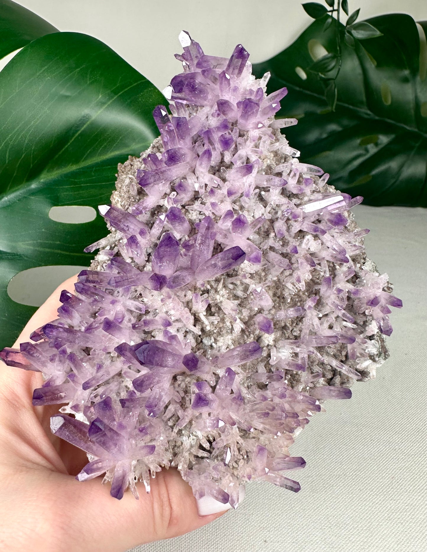 Vera Cruz Amethyst XL Nr.1149VA