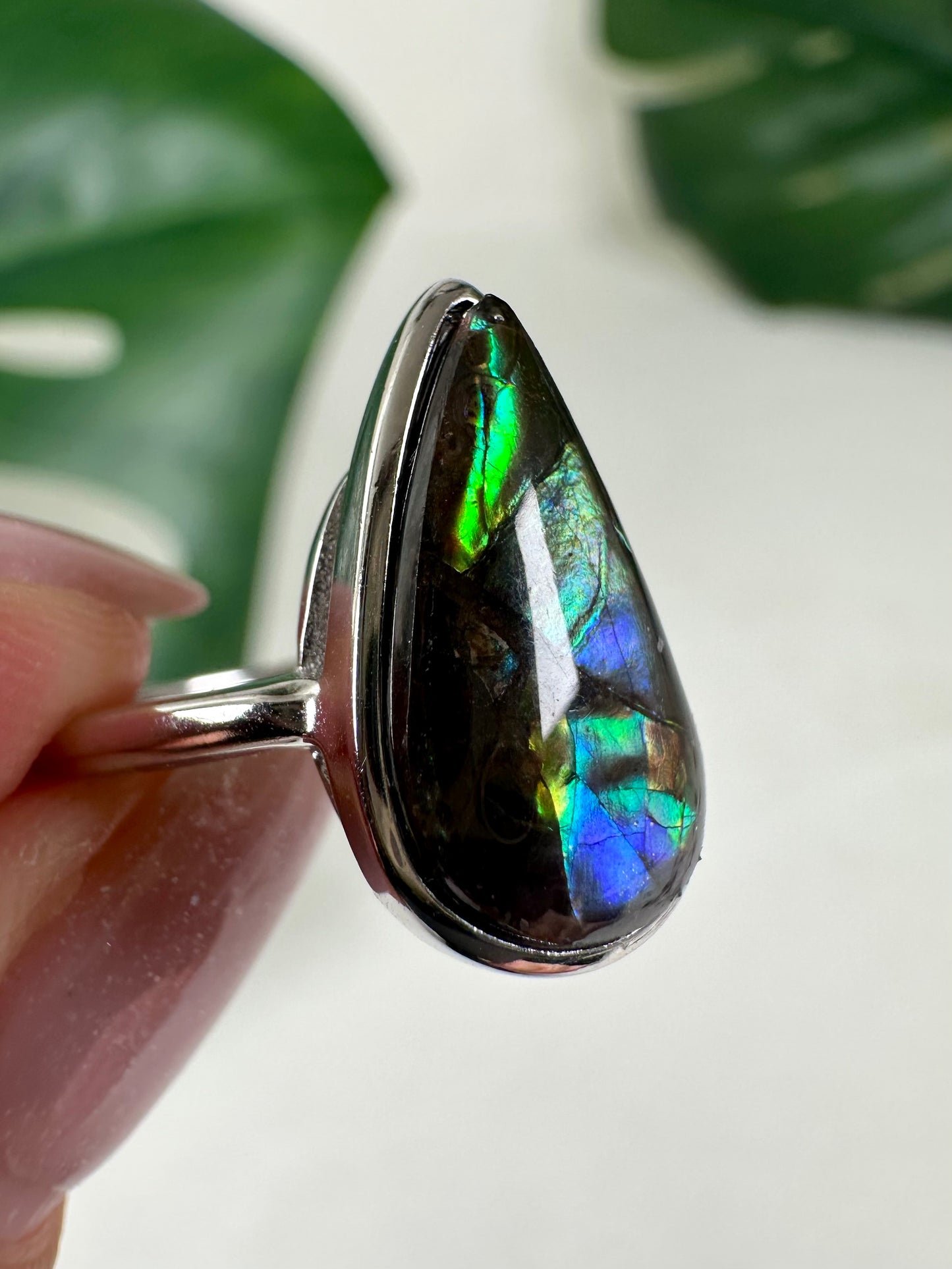 Ammolite ring in 925 silver No.110A1