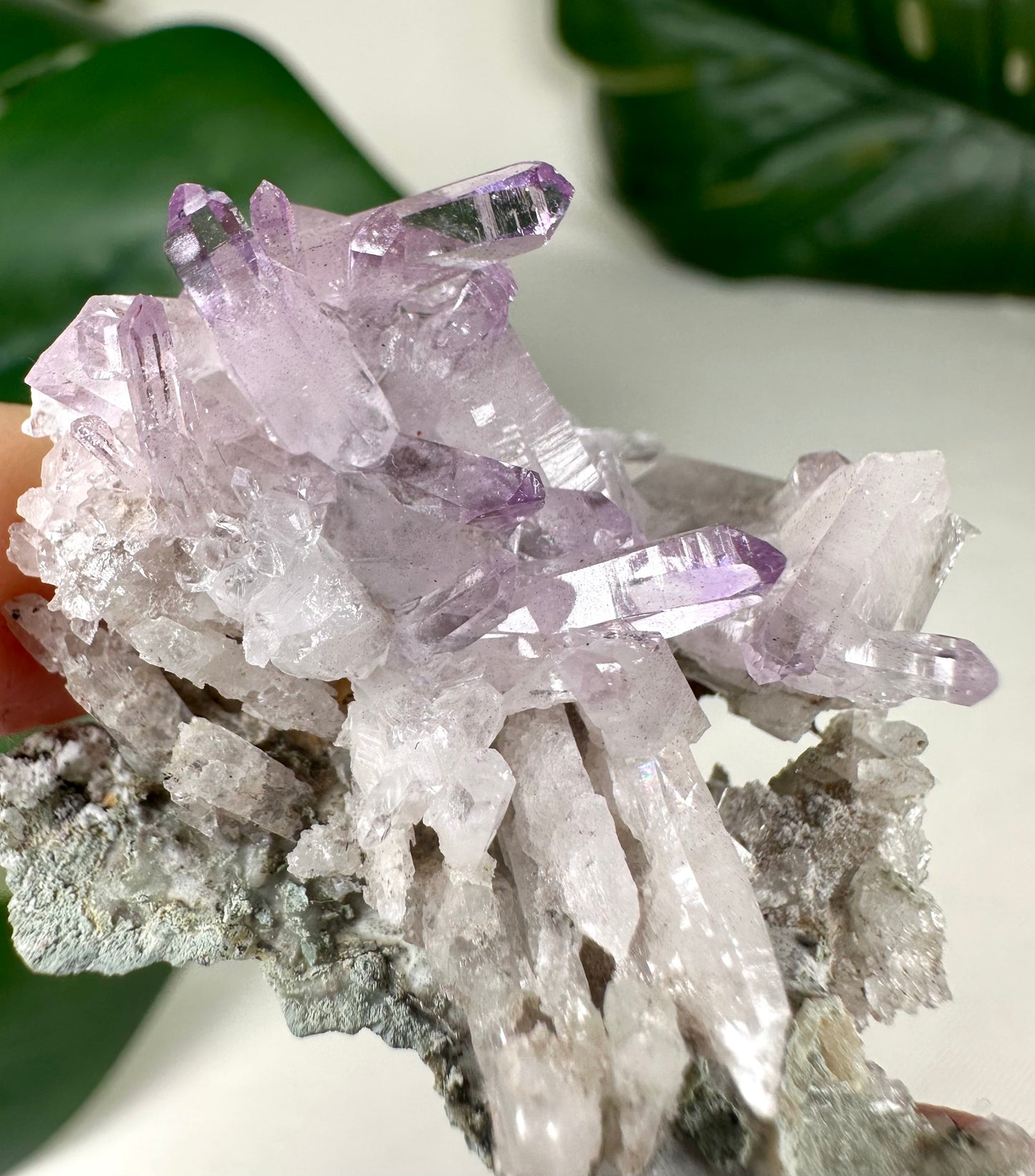 Vera Cruz Amethyst Nr.50VC