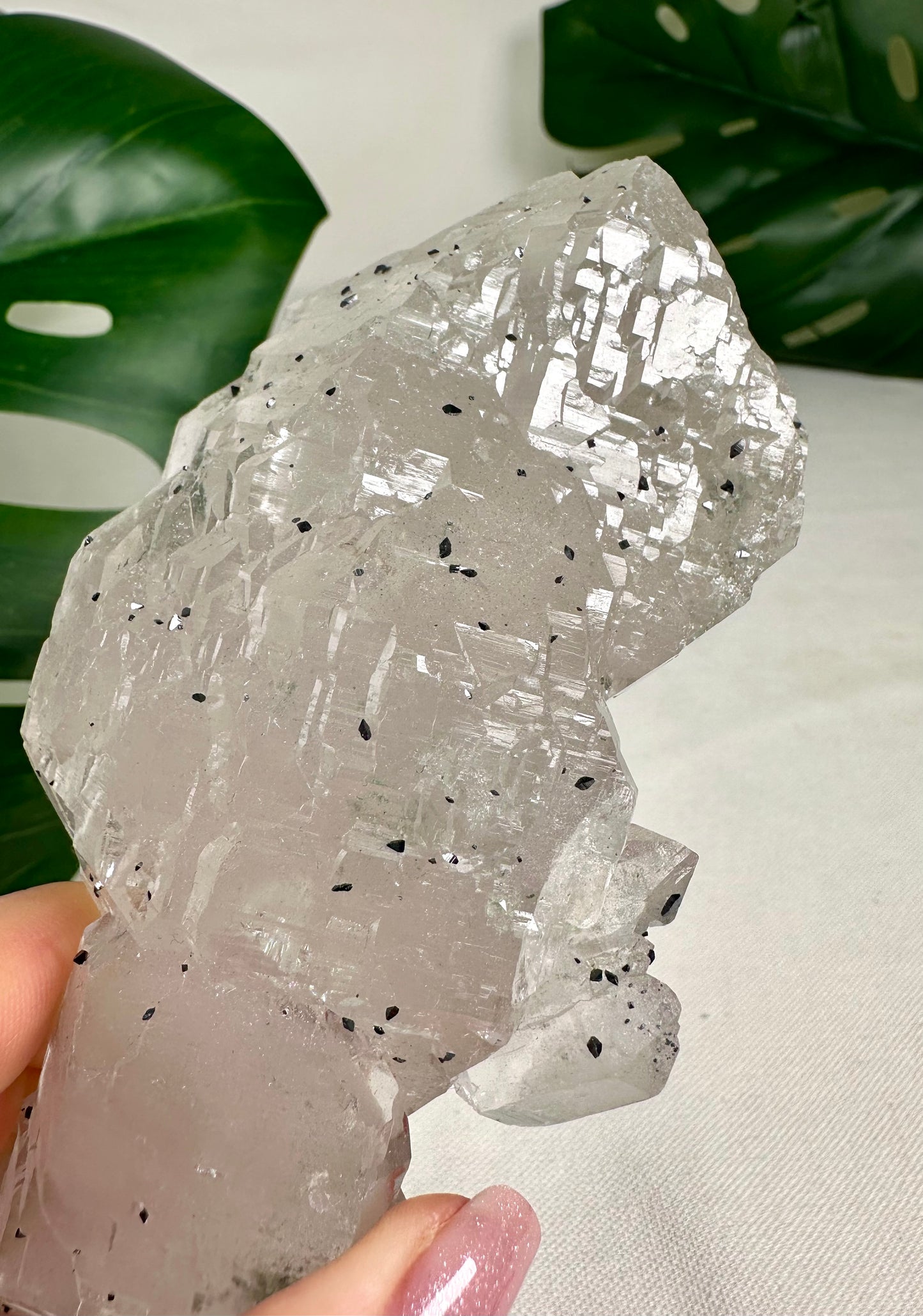 Himalaya Quarz 'Nirvana' mit Anatas Nr.1449HQ