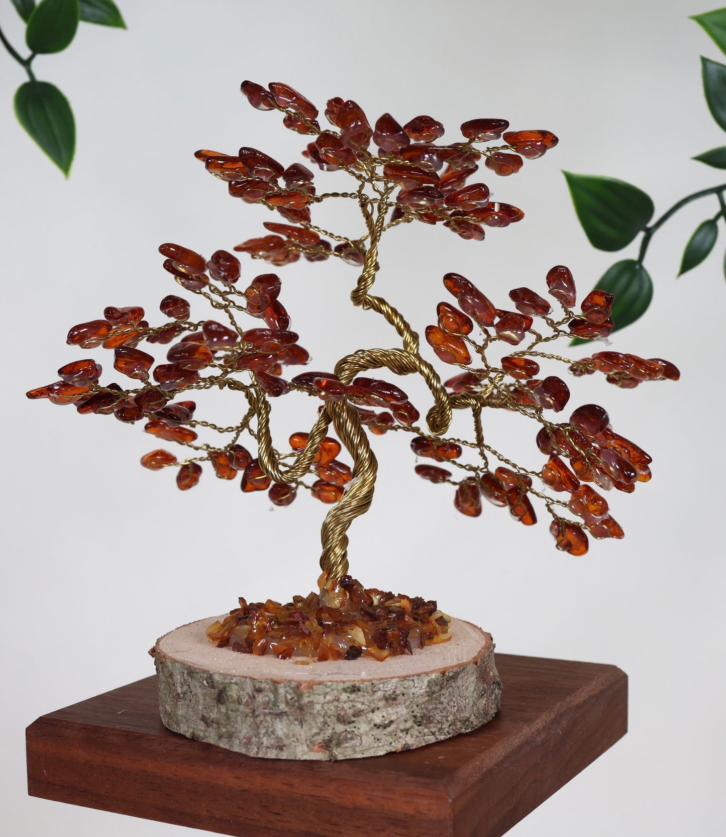 Bernstein Baum Nr.53B4