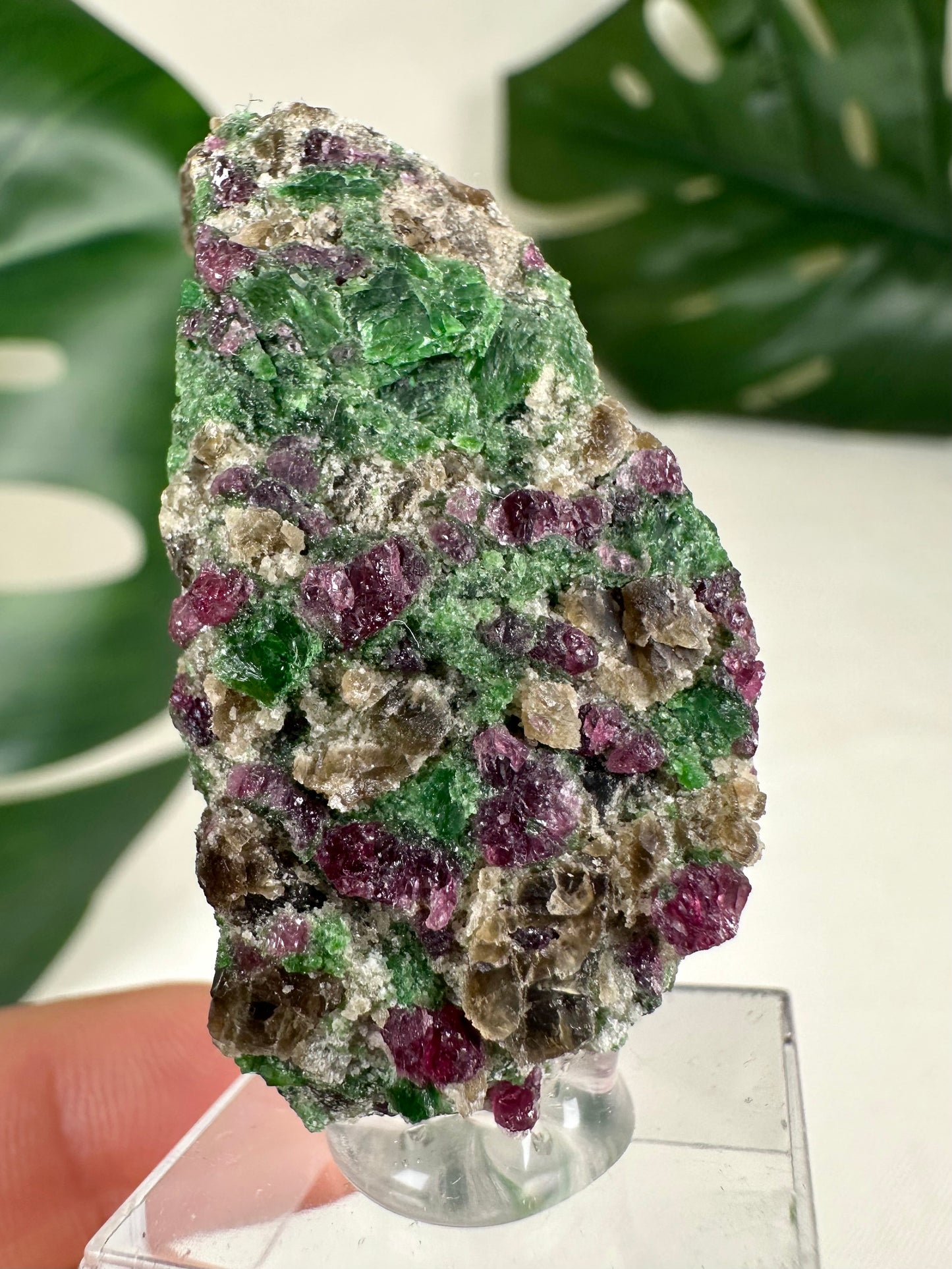 Pyrop Granat x Chromdiopsid Nr.93PC