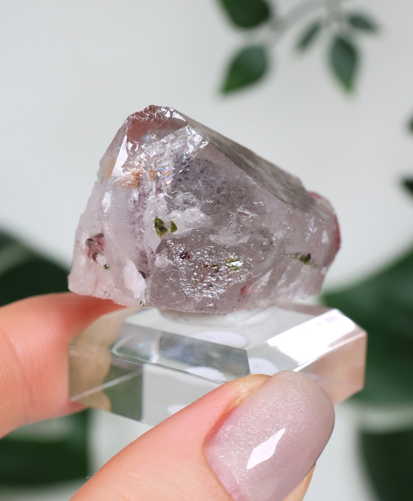 Quartz x Hematite x Epidote No.66QE
