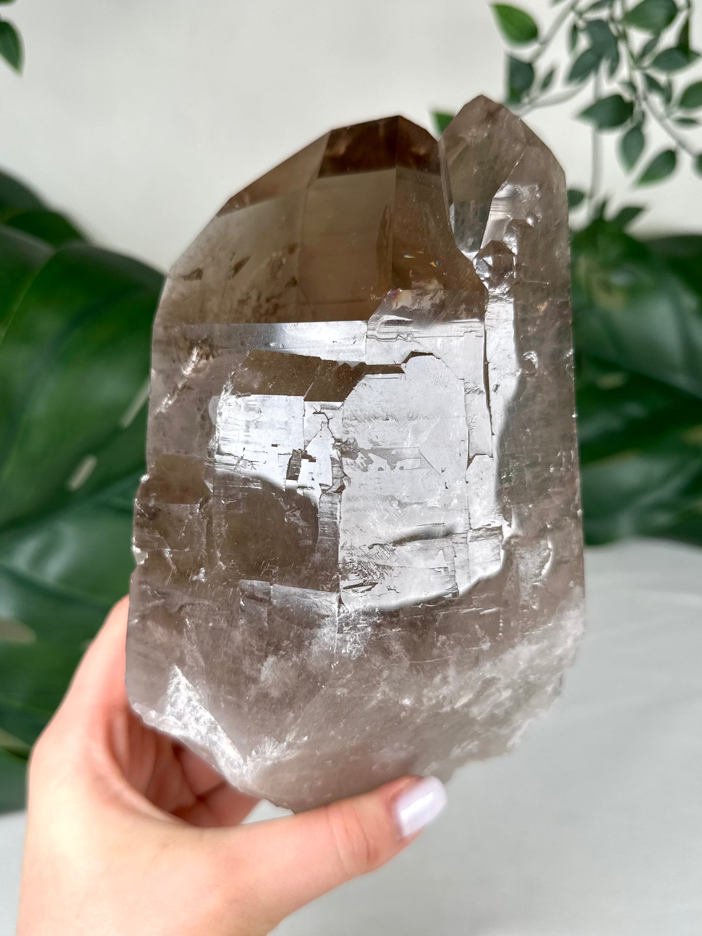 Rauchquarz Lemurian XL Nr.630LR
