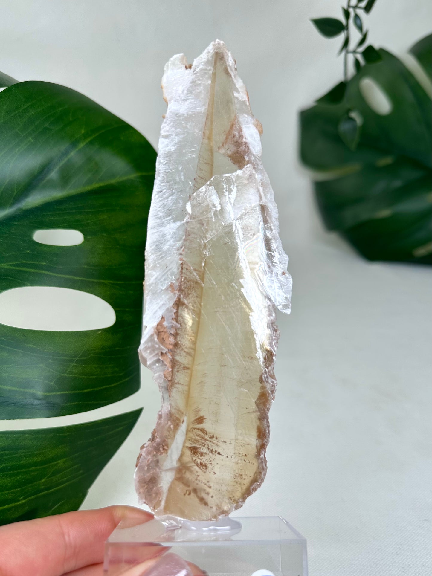 Bicolor Selenite No. 65BS
