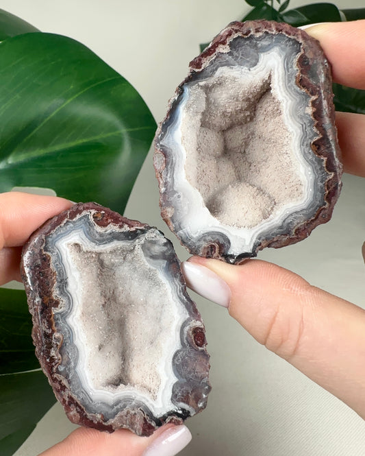 Laguna Agate Geodes Pair No.152L3